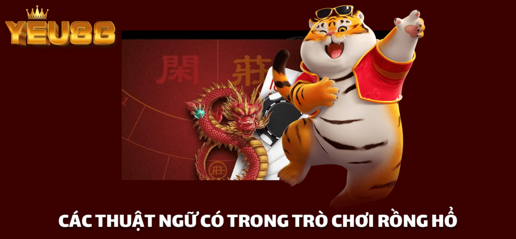 CÁC THUẬT NGỮ CÓ TRONG TRÒ CHƠI RỒNG HỔ