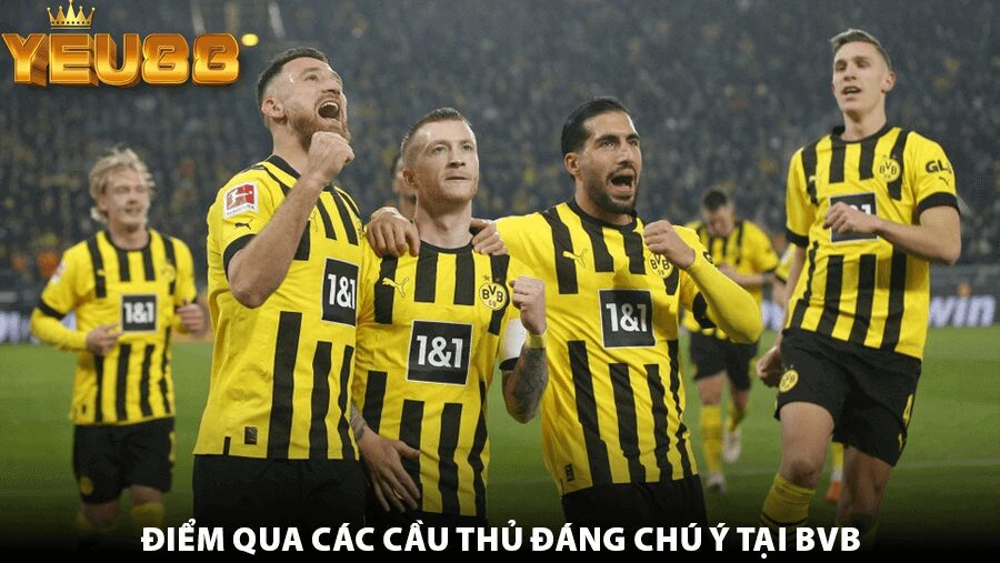 ĐIỂM QUA CÁC CẦU THỦ ĐÁNG CHÚ Ý TẠI BVB