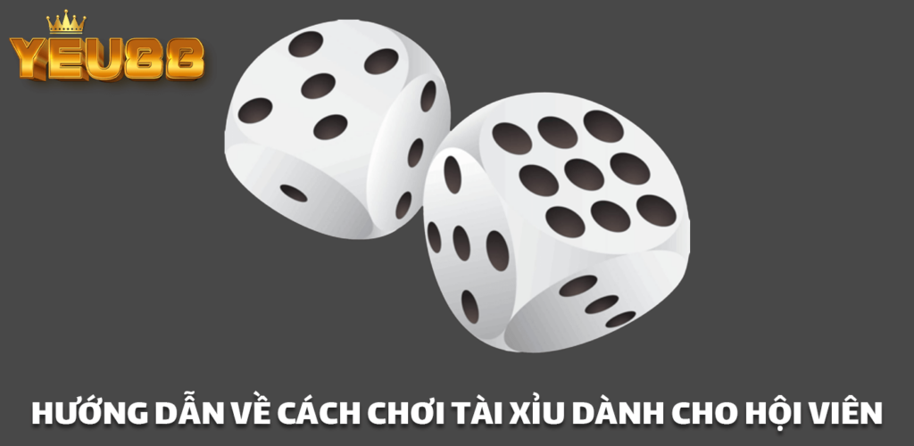 HƯỚNG DẪN VỀ CÁCH CHƠI TÀI XỈU DÀNH CHO HỘI VIÊN